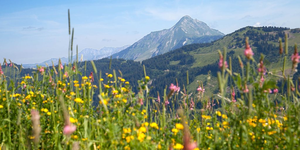 Weather in Morzine - spring