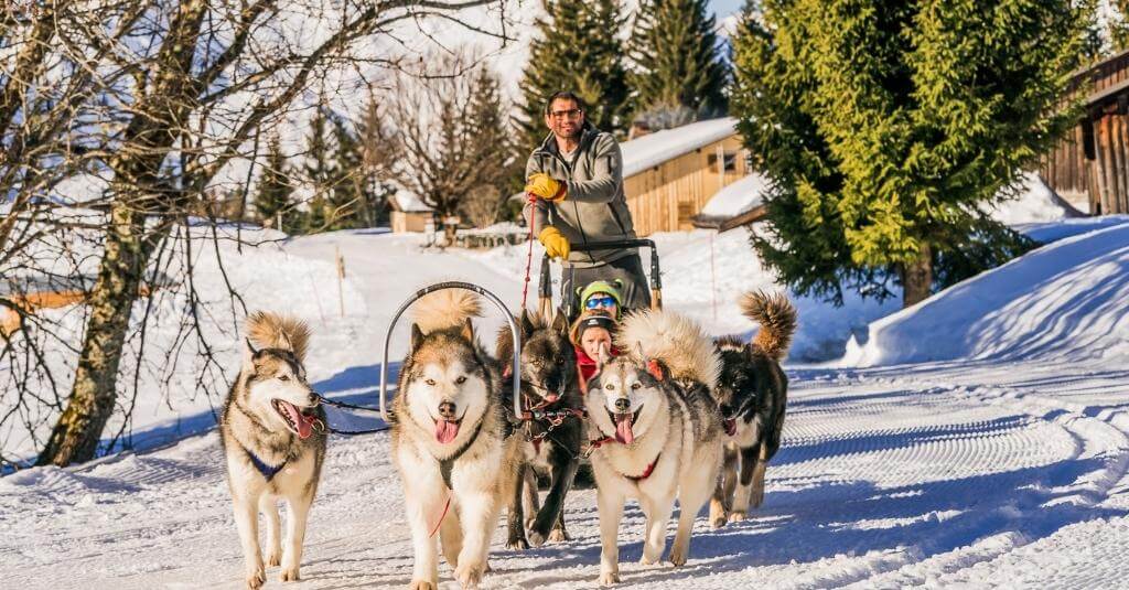 les choses à faire en traîneau à huskies dans les vallées pendant l'hiver