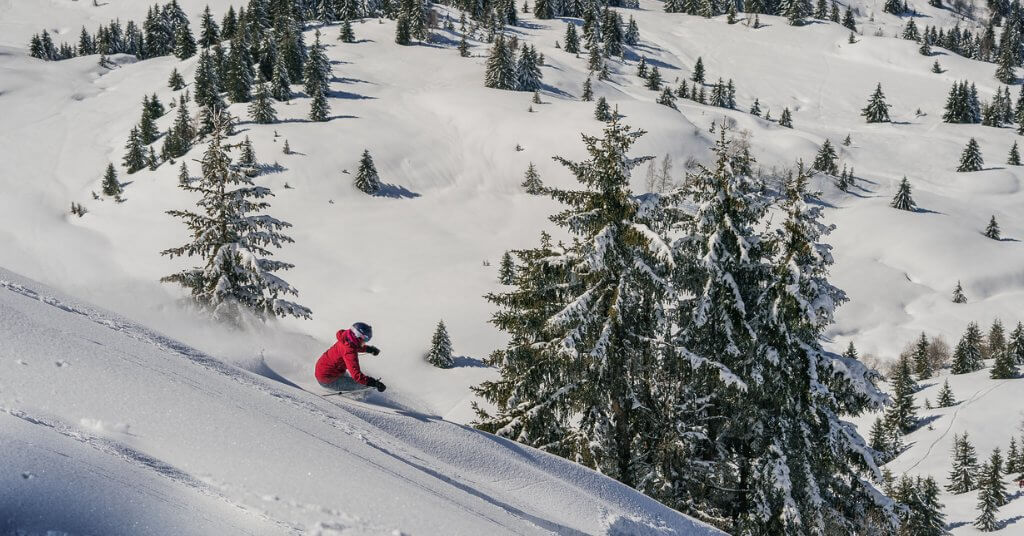 Les Gets ski resort - Advanced Skiiers and Boarders