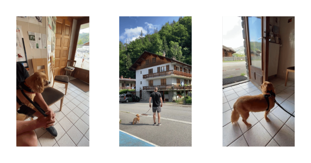 Travelling to France with a dog - arriving in France to your chalet