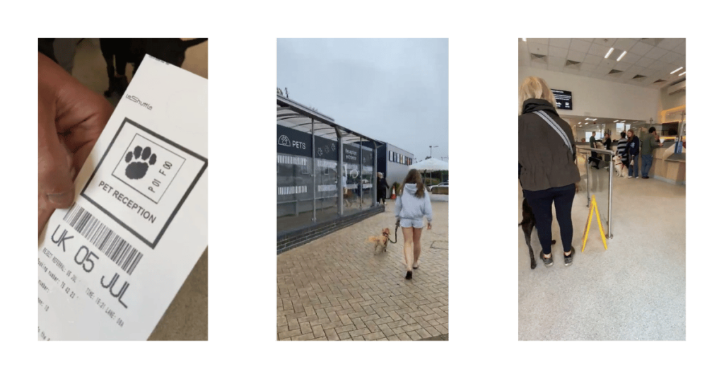 Travelling to France with a dog - leaving the U.K.